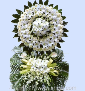 ҵ-õ塢ٺϣ̲Ĵ䣬˫㻨Ȧ²廨񣺸ԼΪ1.6-1.8<Ȧ>